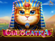 Dragon tiger casino online16